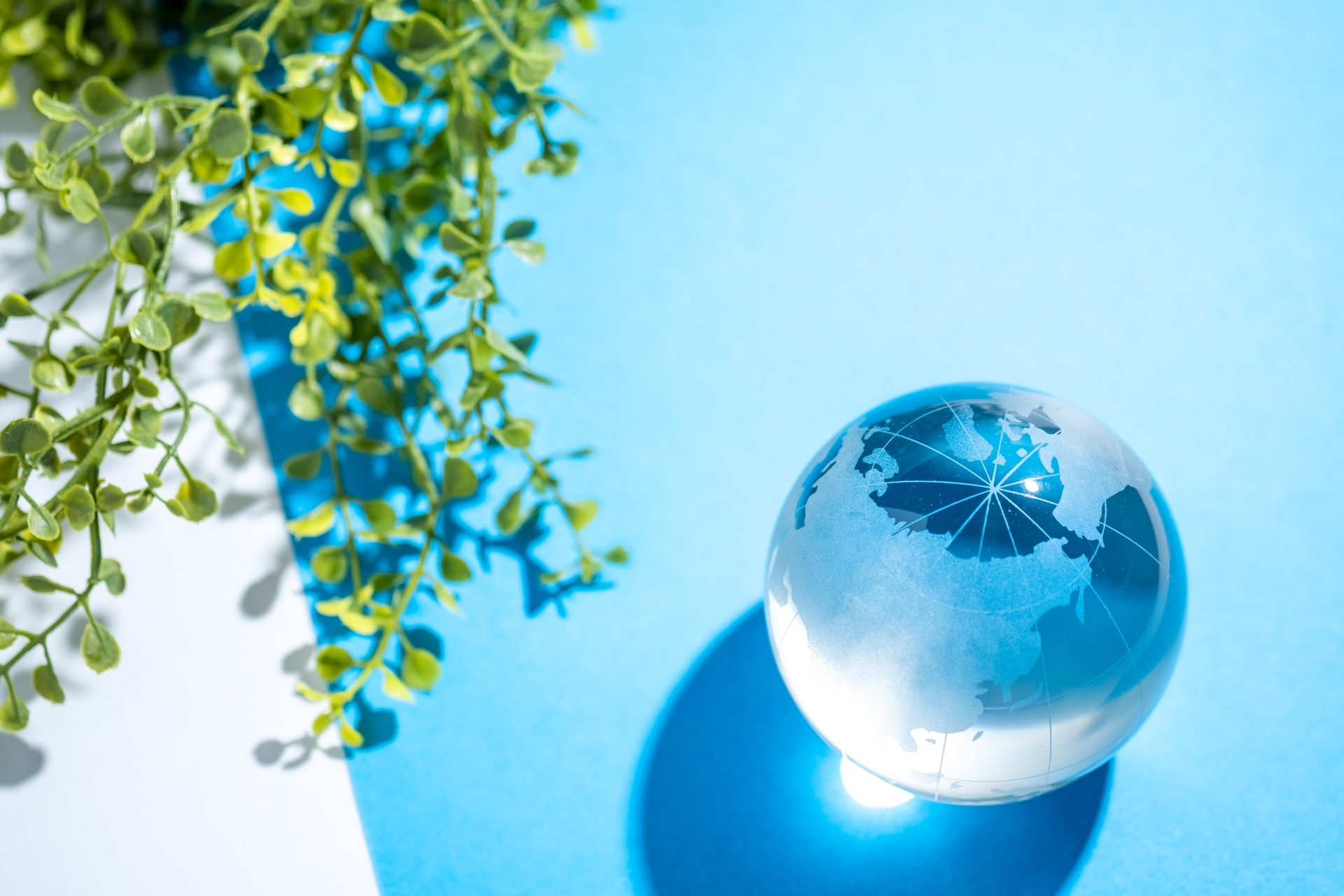 青い表面の上に置かれた透明なガラスの地球儀。その隣に緑の植物が配置されている