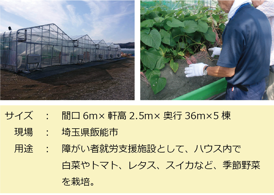 施工例：季節野菜