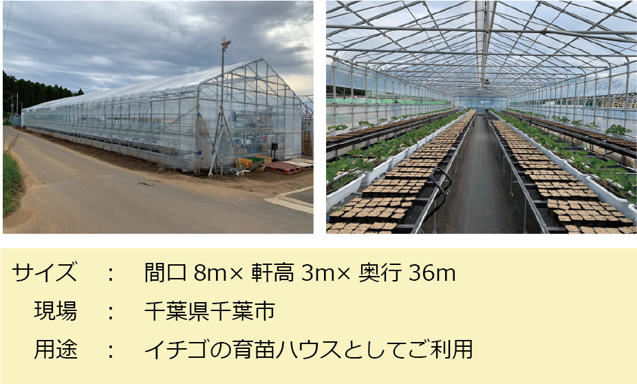 施工例：イチゴ育苗ハウス