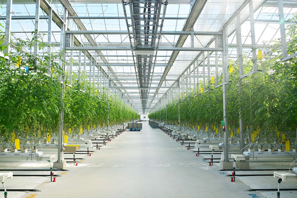 エアロビート管理温室