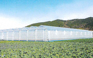 サンフィールド商品画像