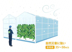 SANTAROOFは早い風速にも耐え、自然災害に強いことをアピール