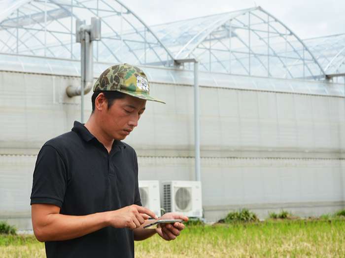 ハウス前でスマホを操作する人