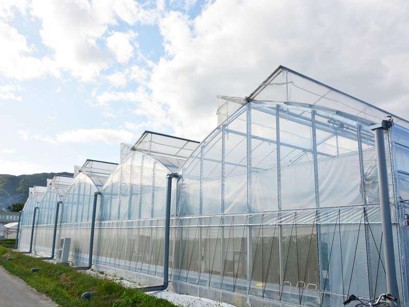 ドリームフィールド施工例1