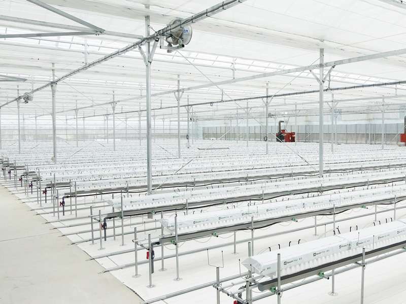 ドリームフィールド施工例3