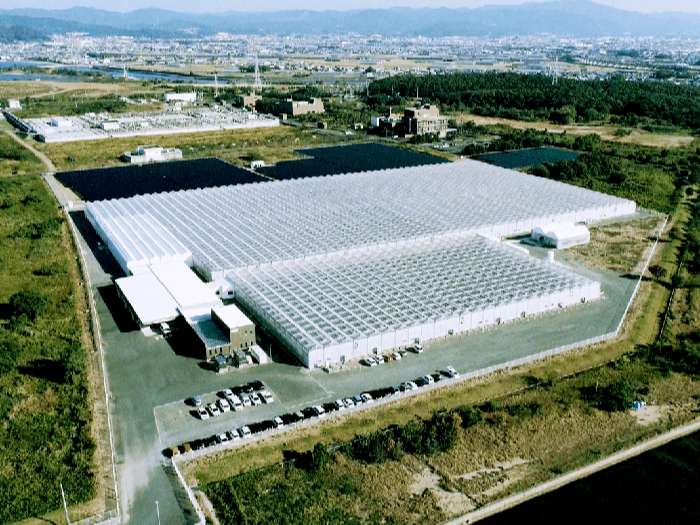 イノチオファーム俯瞰図