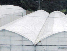 Q-HEATを施工したハウス