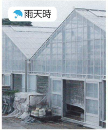 T-74を使用した雨天時のハウス