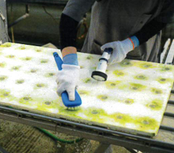 藻が付いた従来のスチロールパネルをブラシでこすり洗い