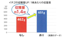 ソイルヒーターを使用した場合の収穫量が使用前と比較し1.4倍であることを表す棒グラフ