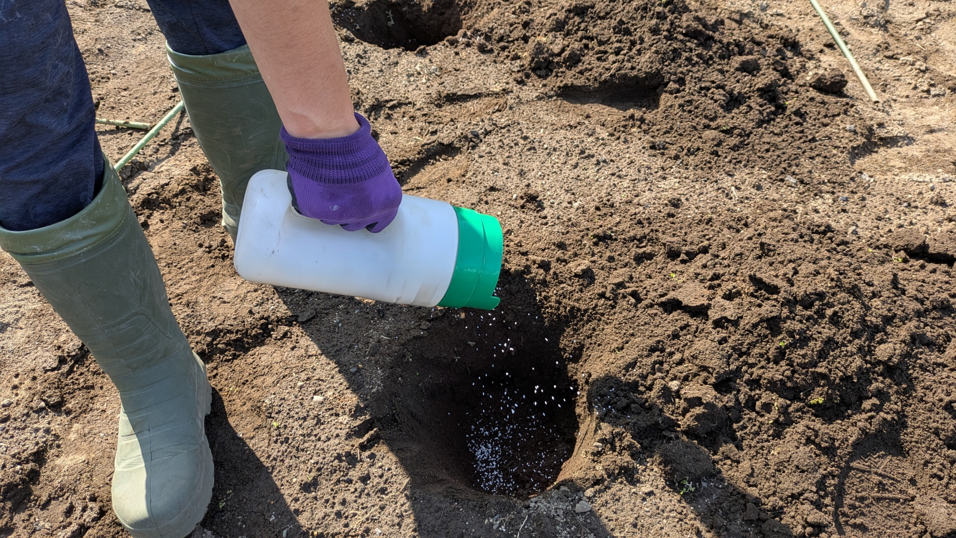 手作業での農薬散布