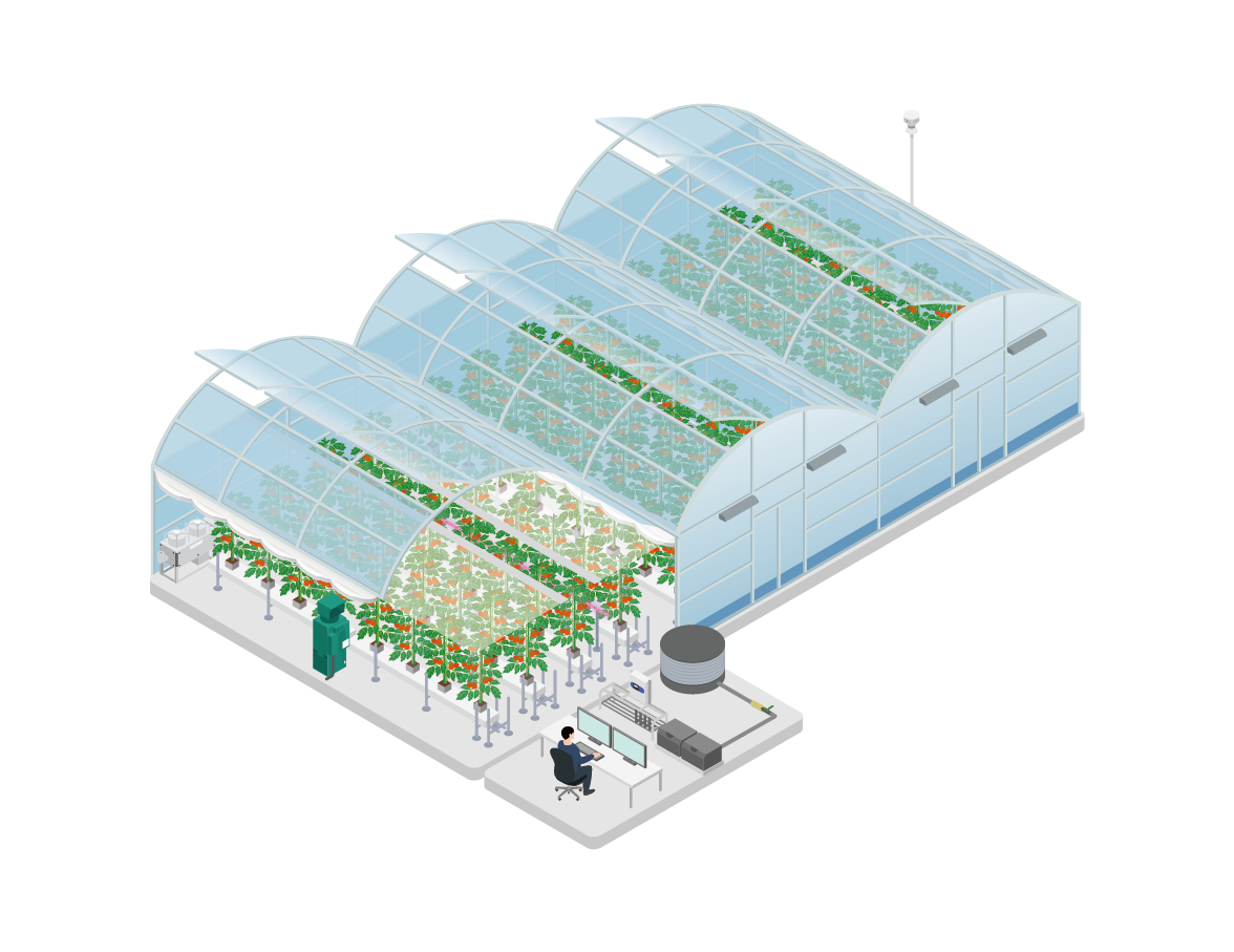 ミニトマトハウス3連棟とPCを操作する人