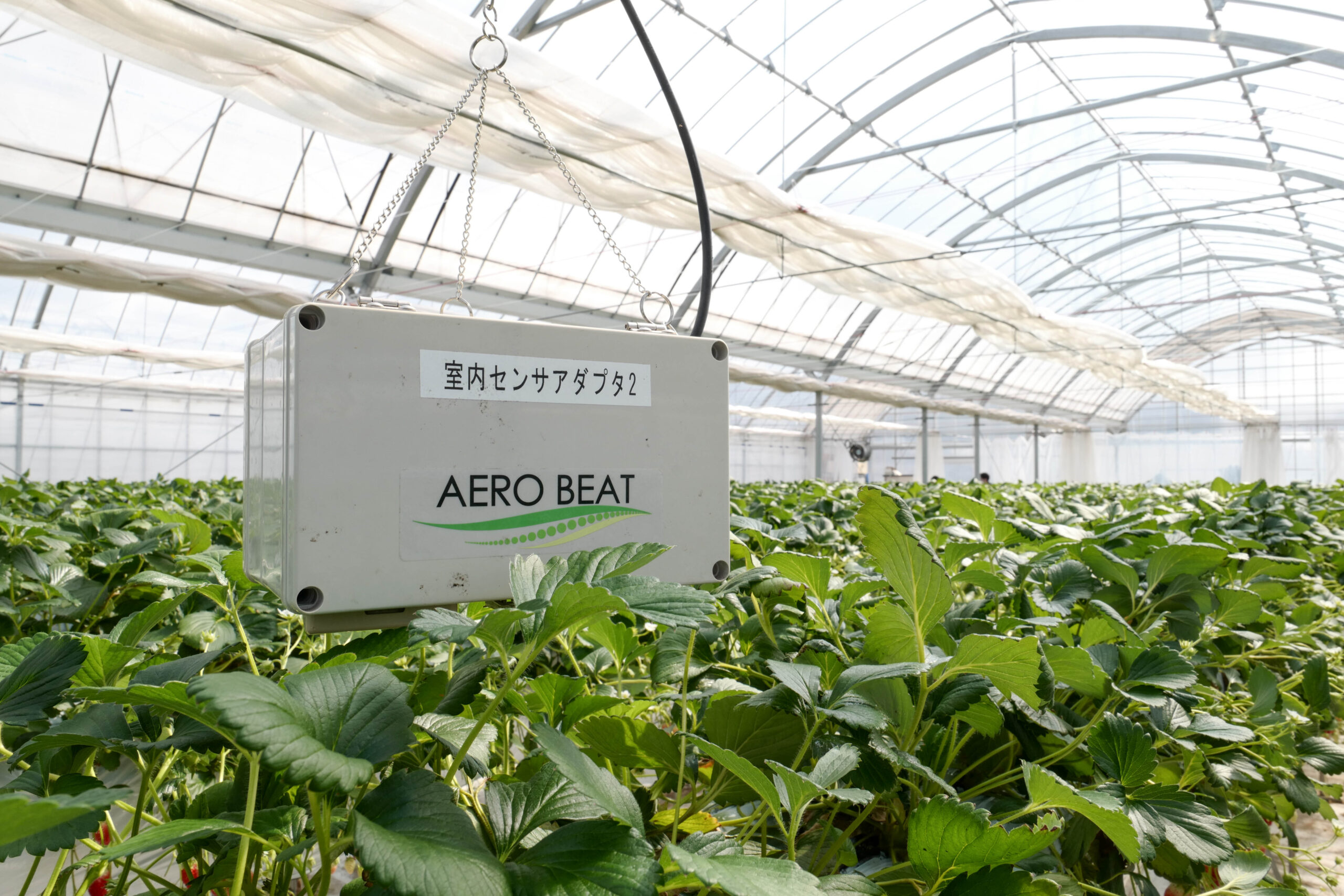 イチゴハウス内で実際に使用中のエアロビート