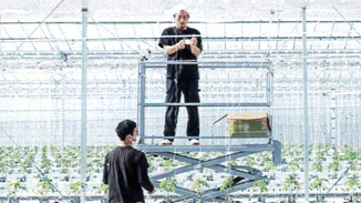 屋根型ハウスご使用のお客様の栽培風景