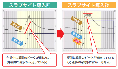 スラブサイトの導入により、午前中に重量のピークがなく水量が足りないことがわかり、導入後は昼間に重量のピークが連続して水分が足りたことを示すグラフ