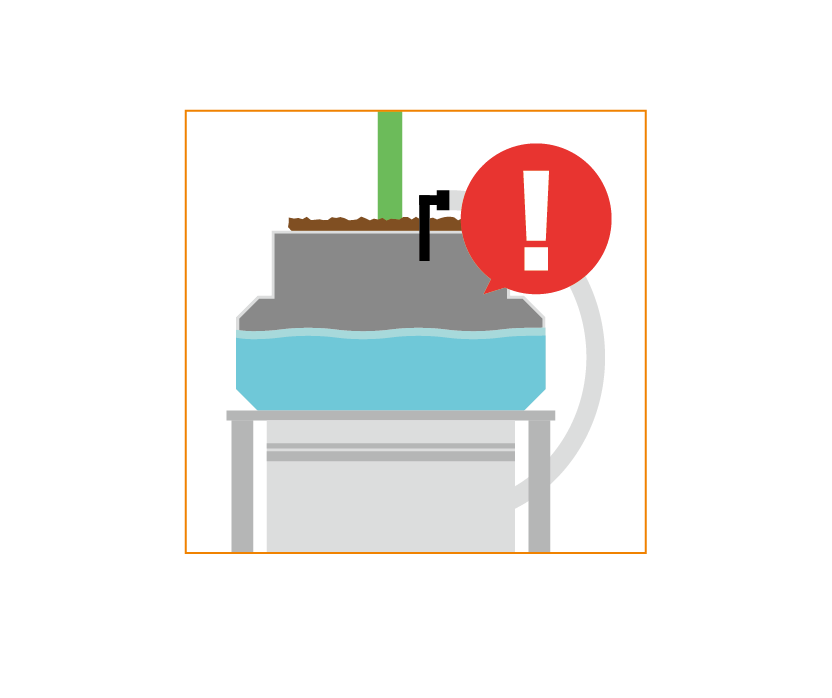 水量が足りない様子