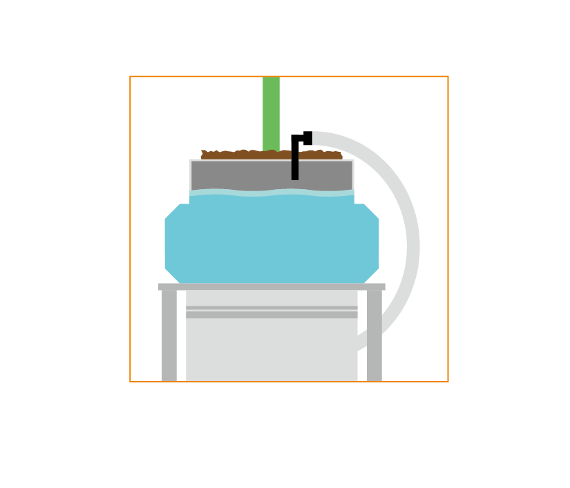 水分量が足りている状態