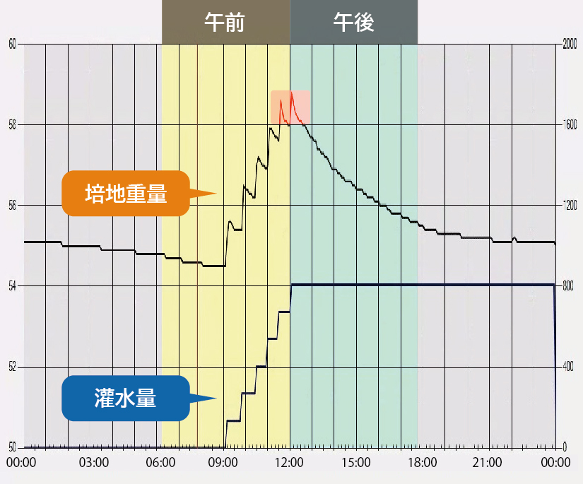 スラブサイトで改善する前の培地重量と潅水量のグラフ