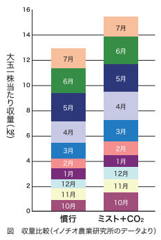 ミストシステムを使用した場合としていない場合での大玉トマト収量比較実験結果棒グラフ、全体的にミストシステムを使用したほうが収量が増えていることが伺える