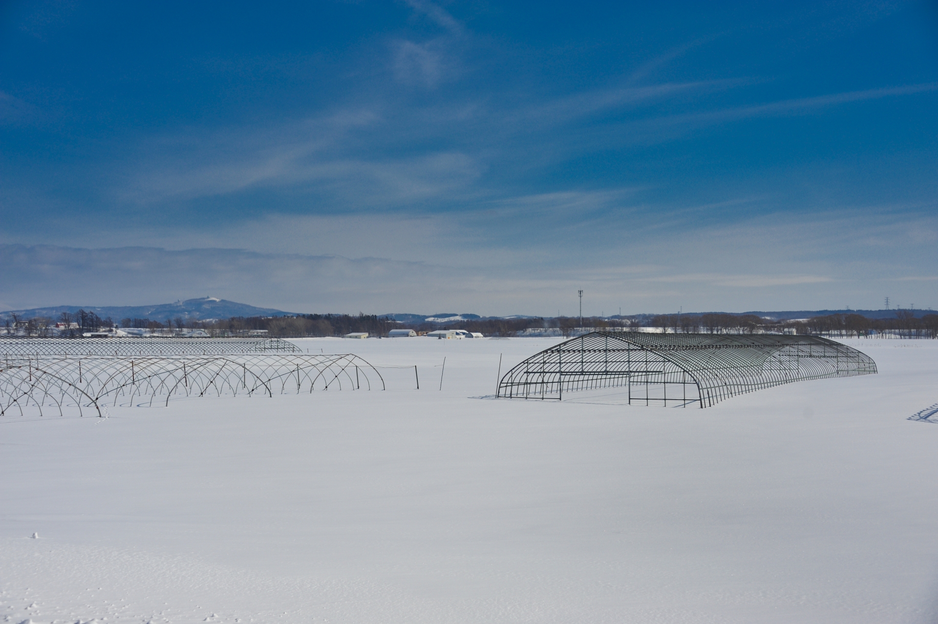 冬の石狩圃場、雪に埋もれたハウスの骨組み