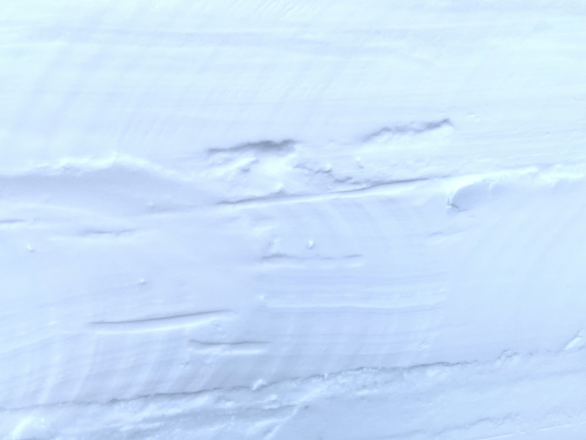 雪の断面