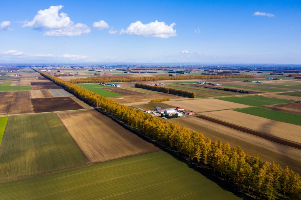 芽室町の圃場空撮