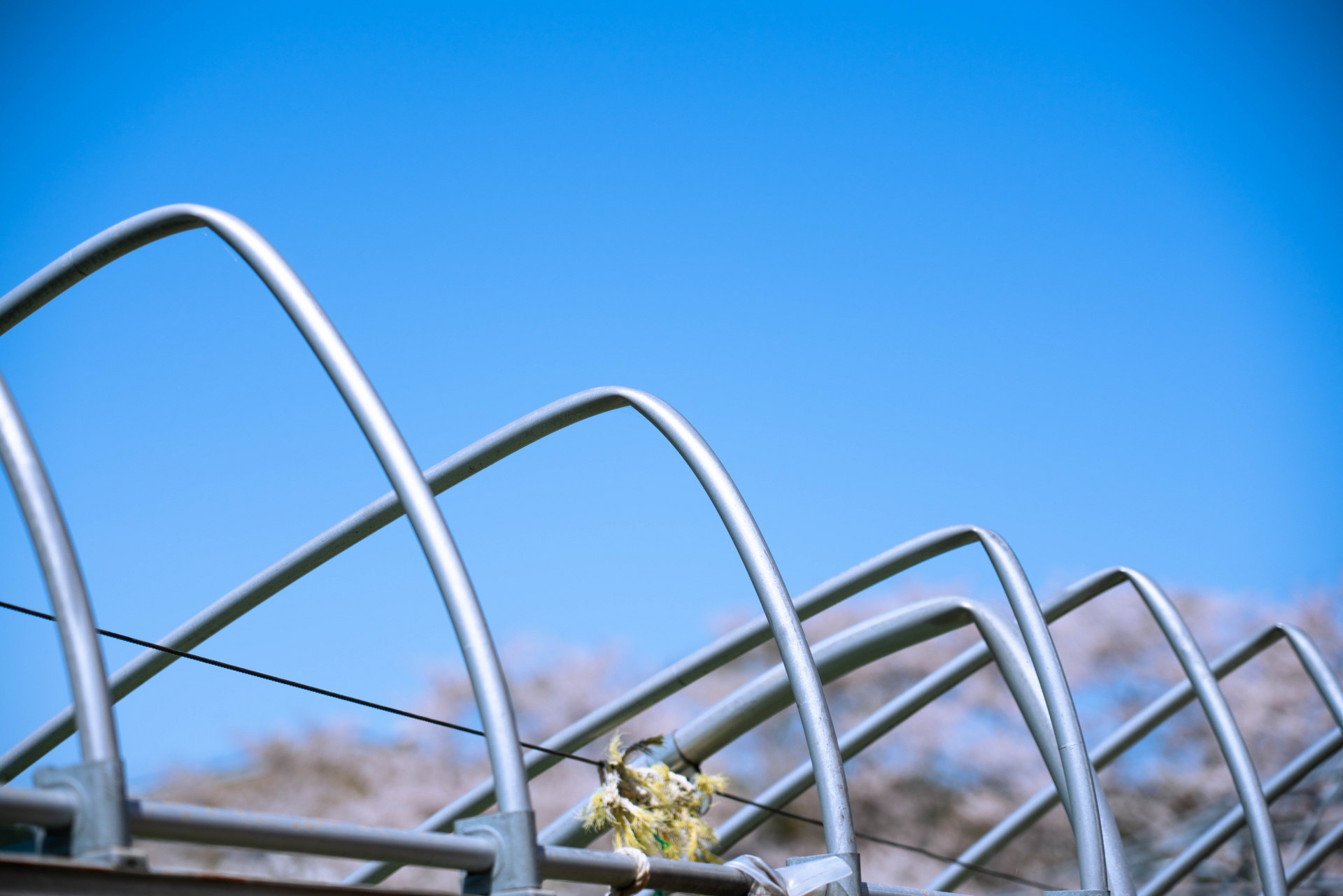 雪で折れたビニールハウスのパイプ