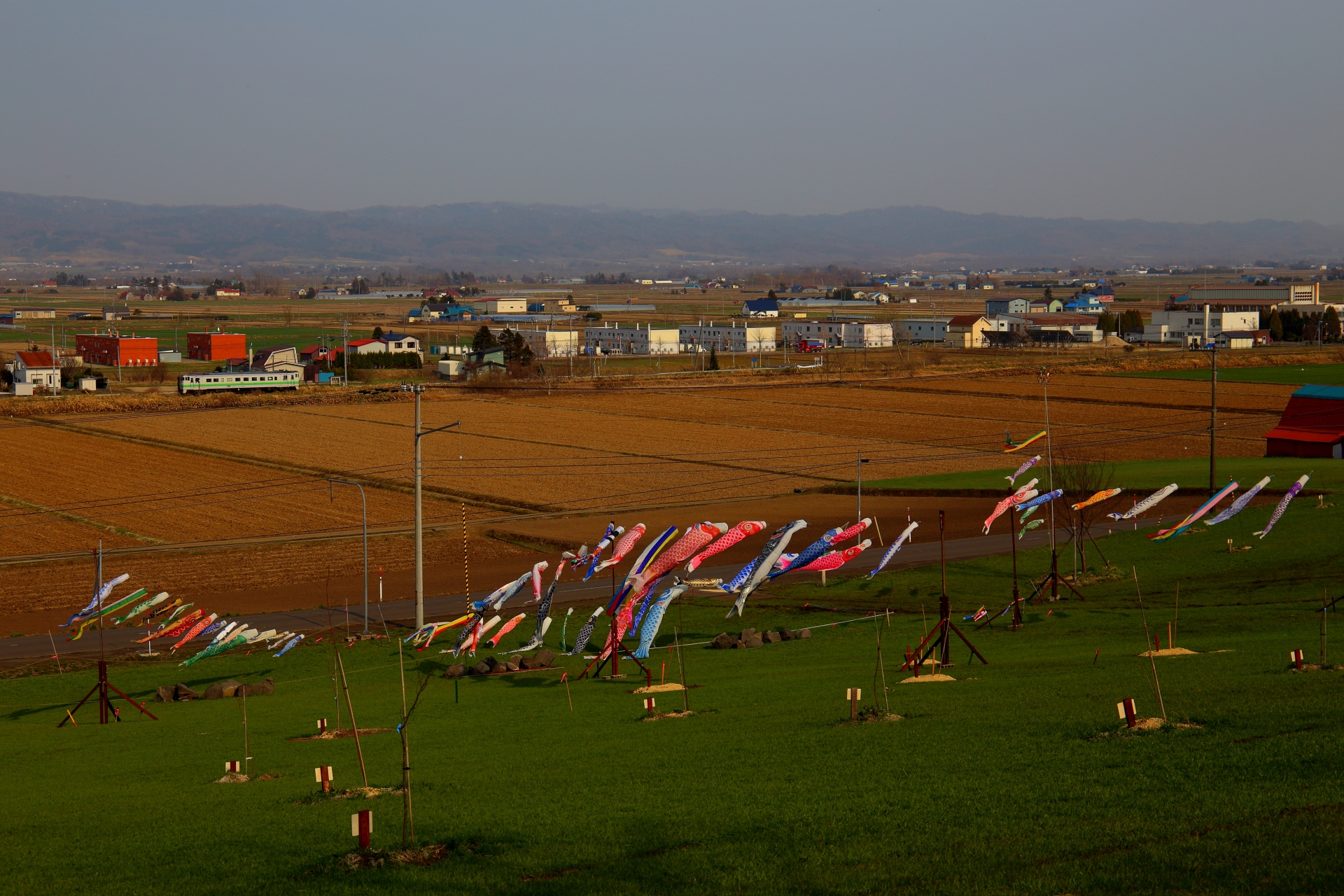 室蘭本線沿いの畑とこいのぼり