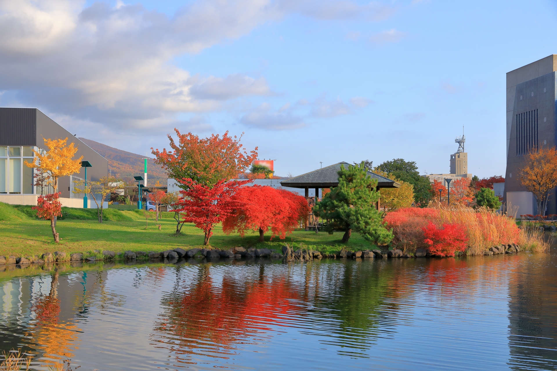 池のほとりの紅葉　伊達市総合公園