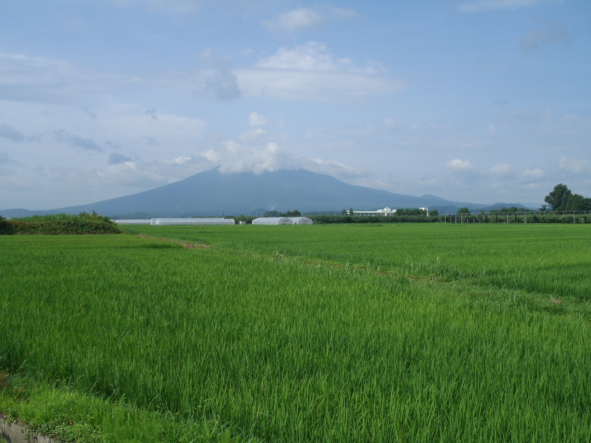 夏の青空、津軽平野と岩木山
