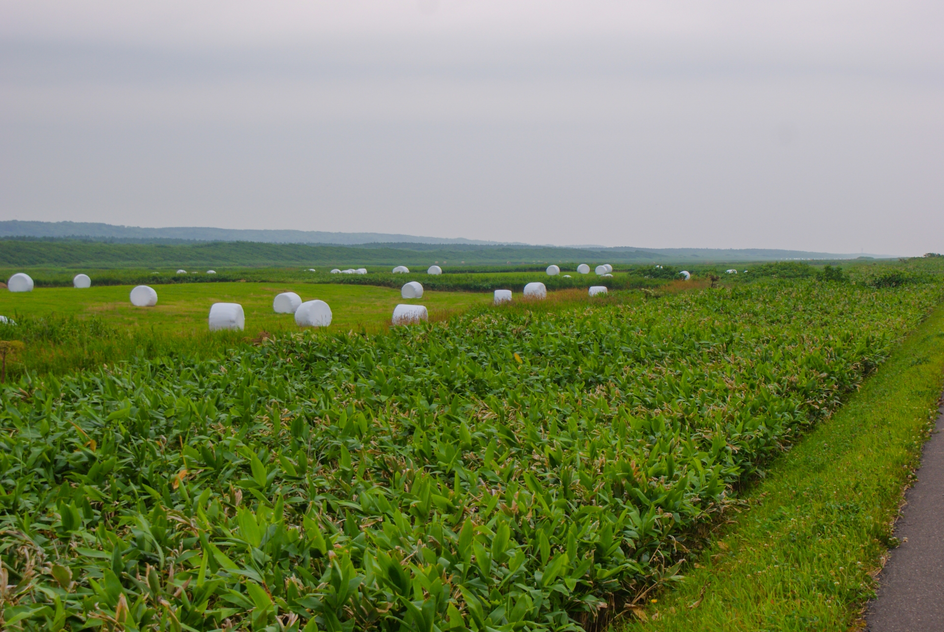 宗谷の町並み（北海道）