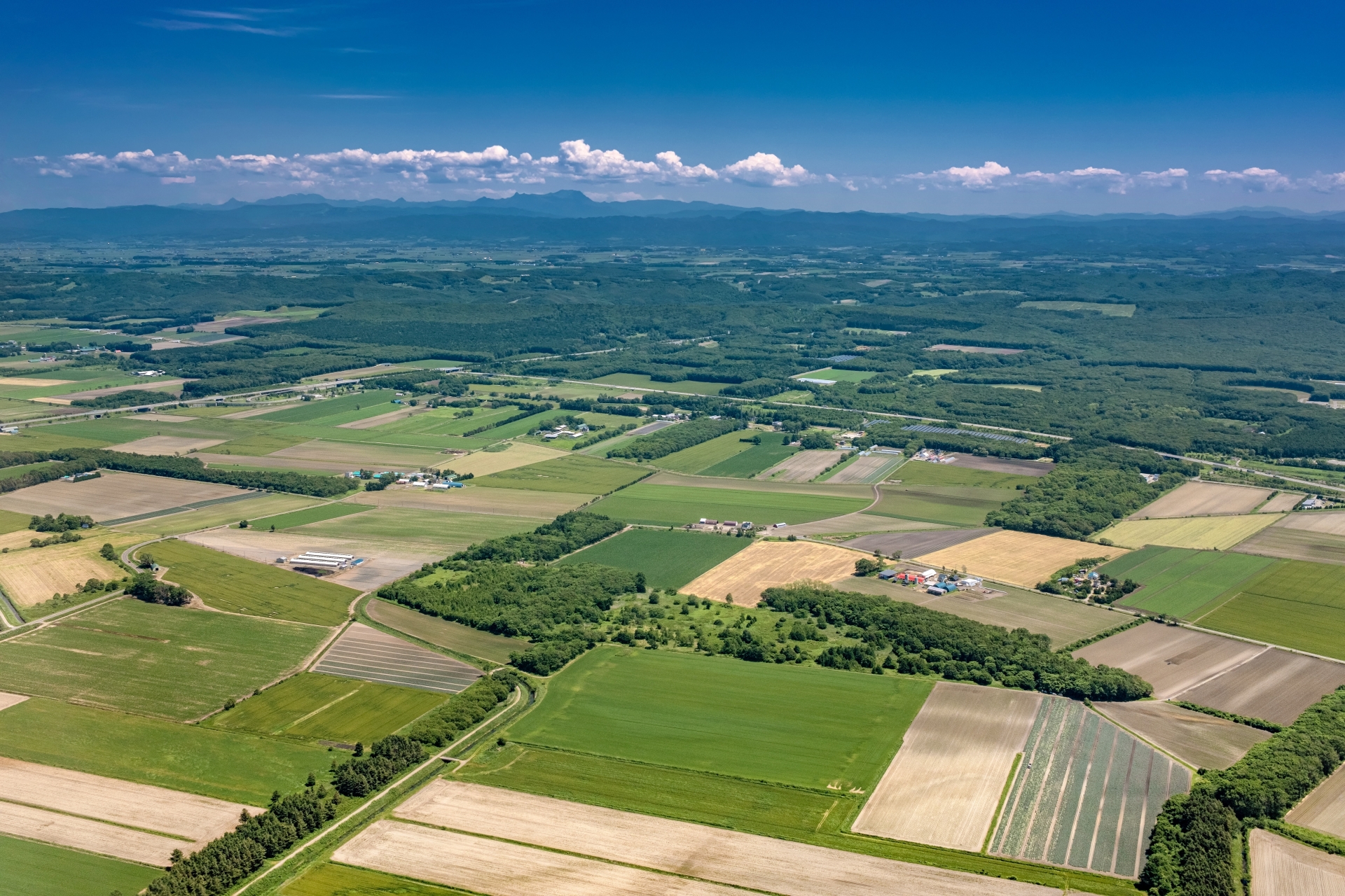 北海道千歳市 空から眺める初夏の千歳市