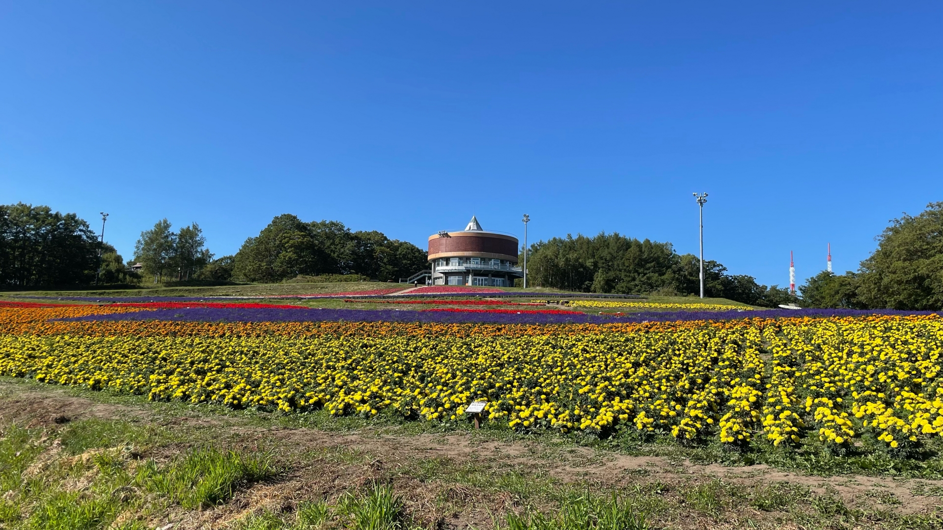 網走のお花畑 はなてんと