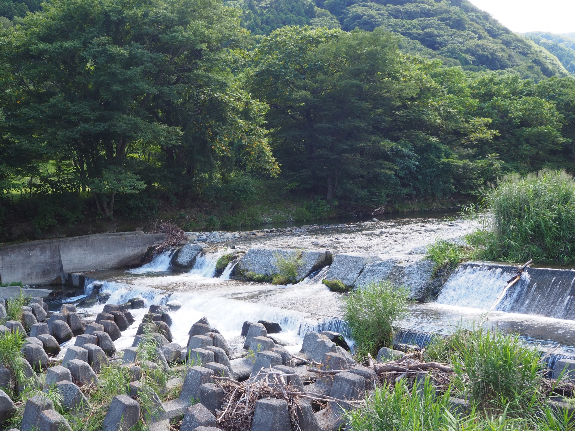 道の駅釜石仙人峠から見える風景