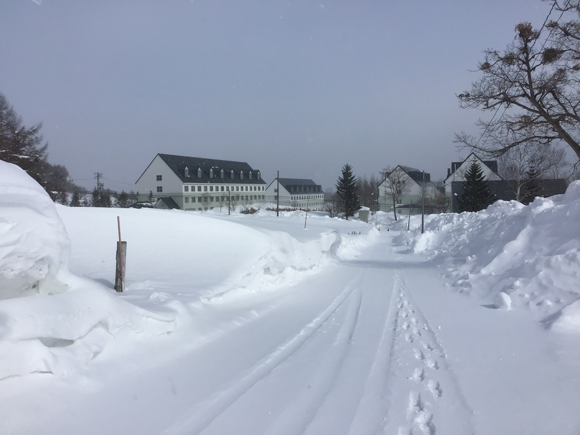 雪国の風景