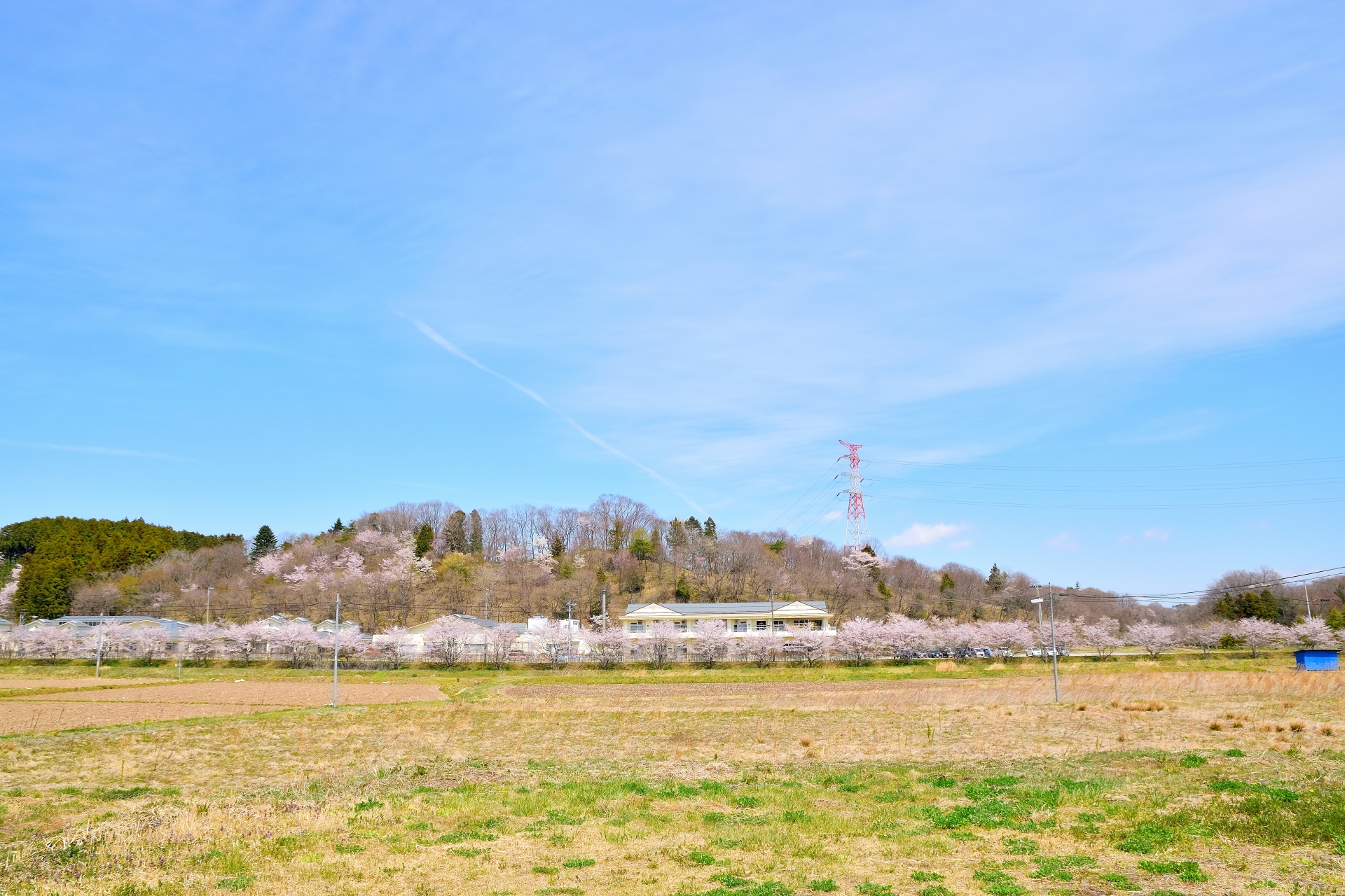 宮城県富谷市の田園風景