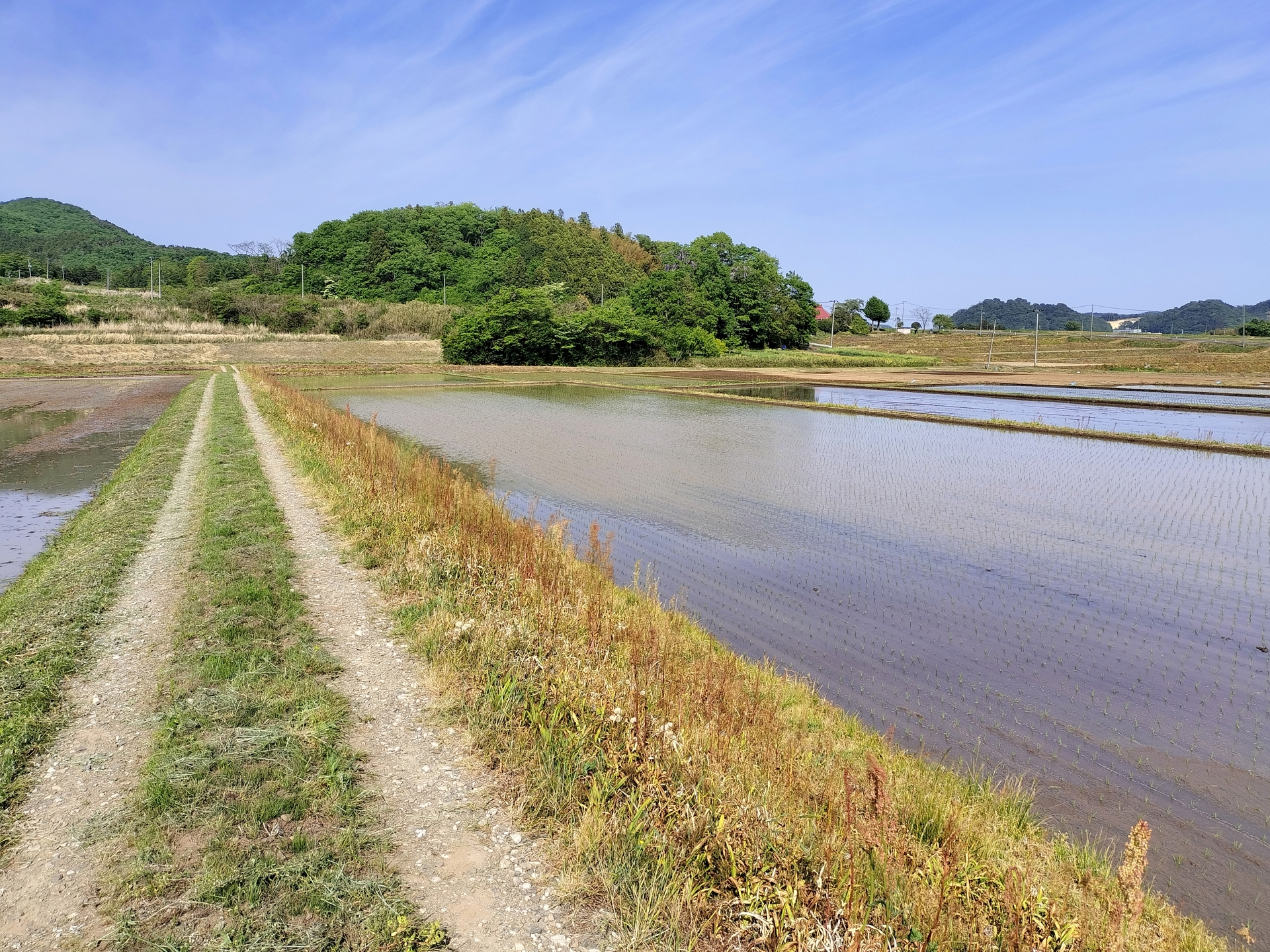 米どころ宮城県白石市福岡深谷あたりの水田