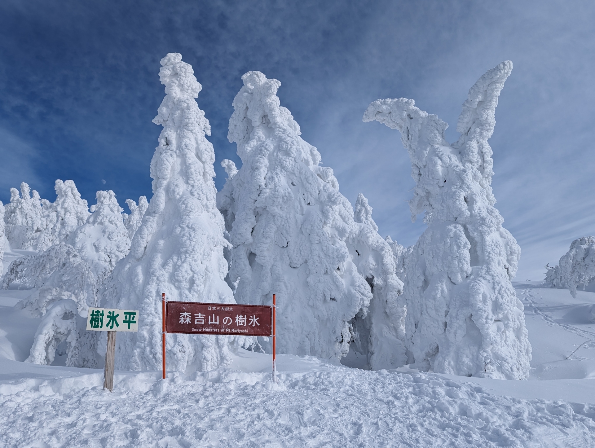 森吉山の樹氷平