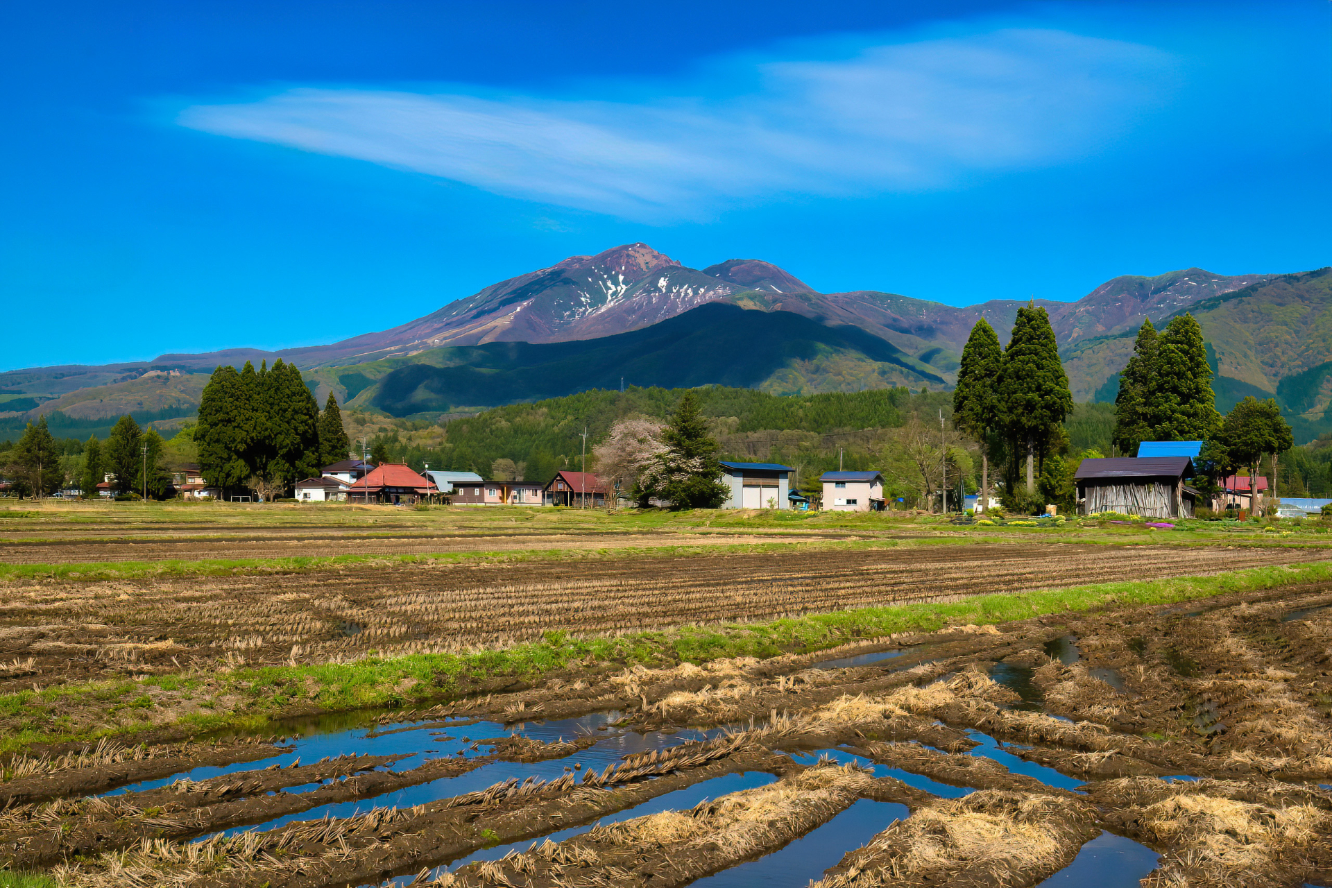 秋田駒ヶ岳を望むのどかな春の農村風景_仙北市の田んぼ