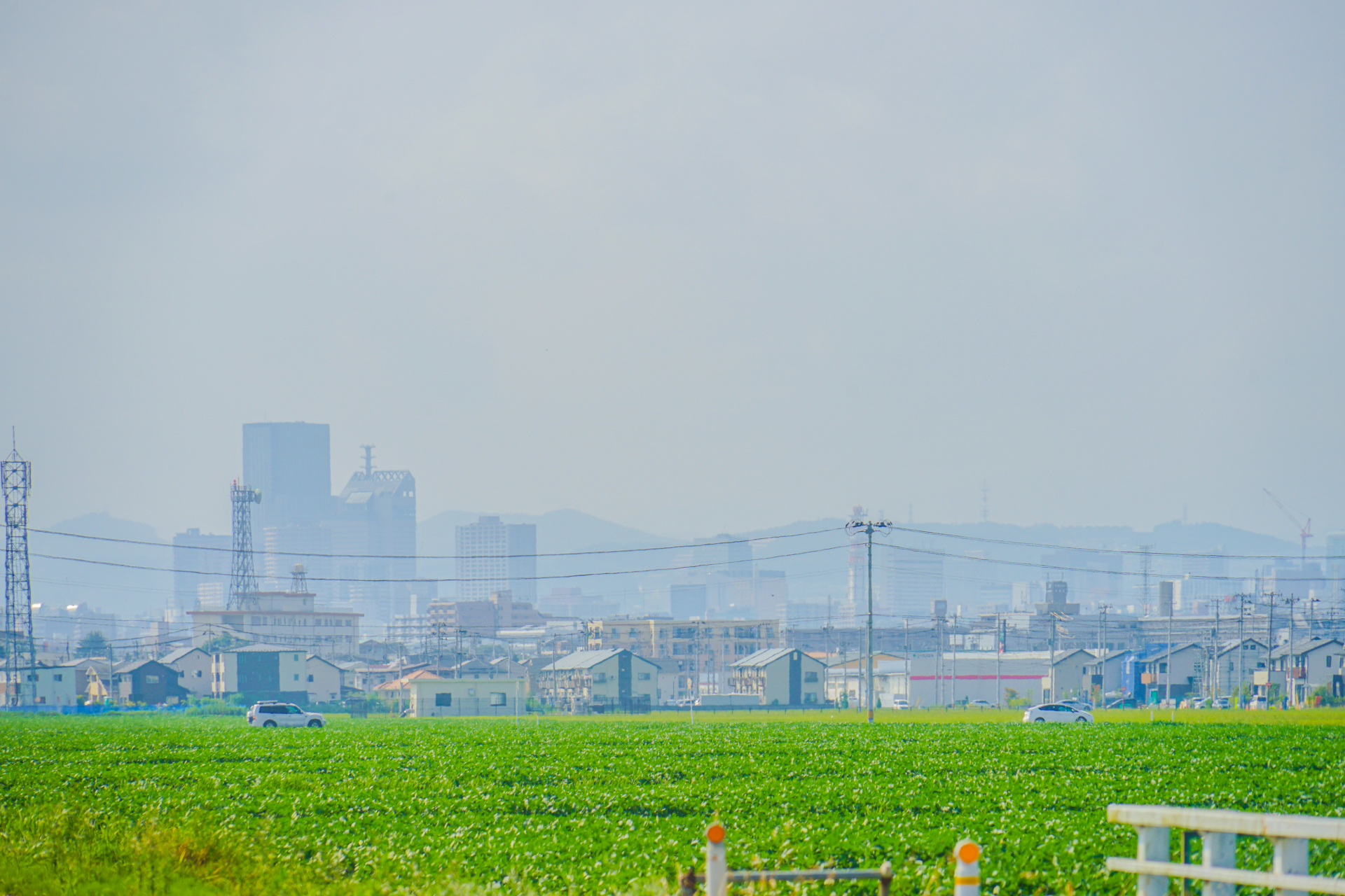 仙台市若林区の田園風景