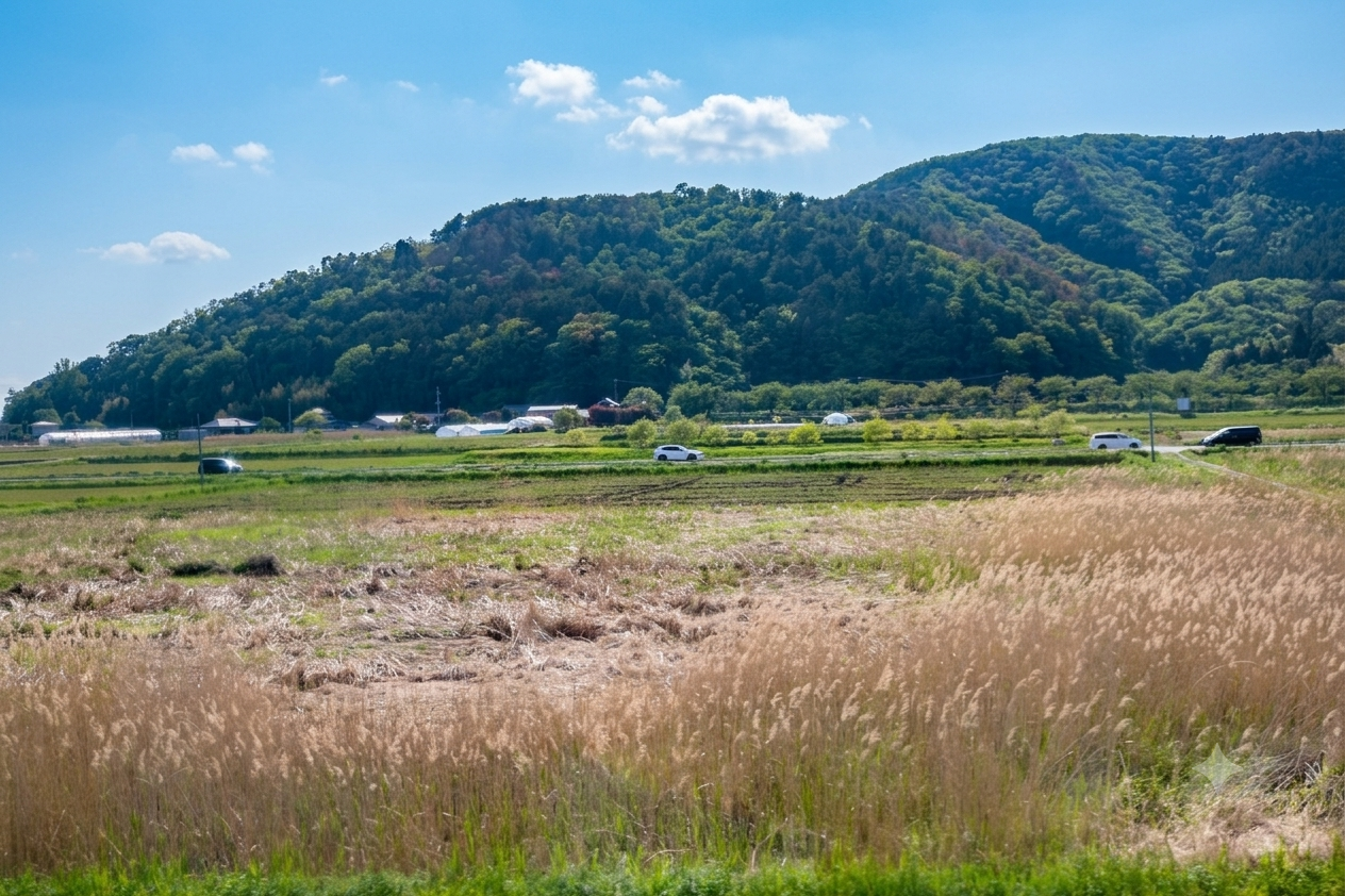 石巻市農村風景