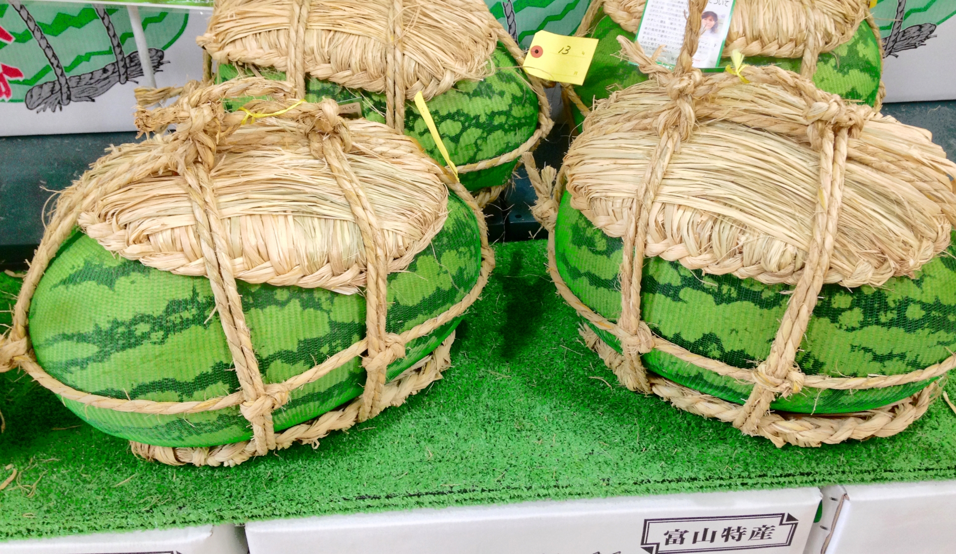 富山県　入善のジャンボ西瓜（いすか）