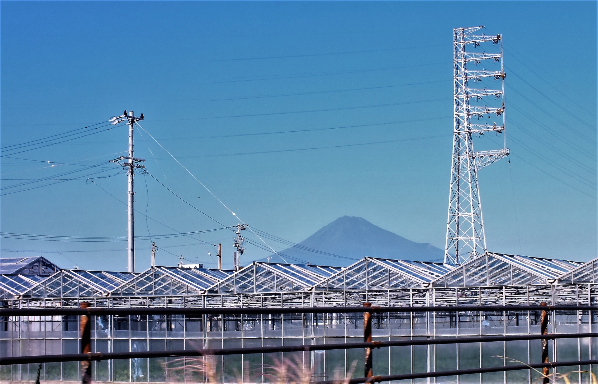 ビニールハウスと送電塔の間に見える富士山