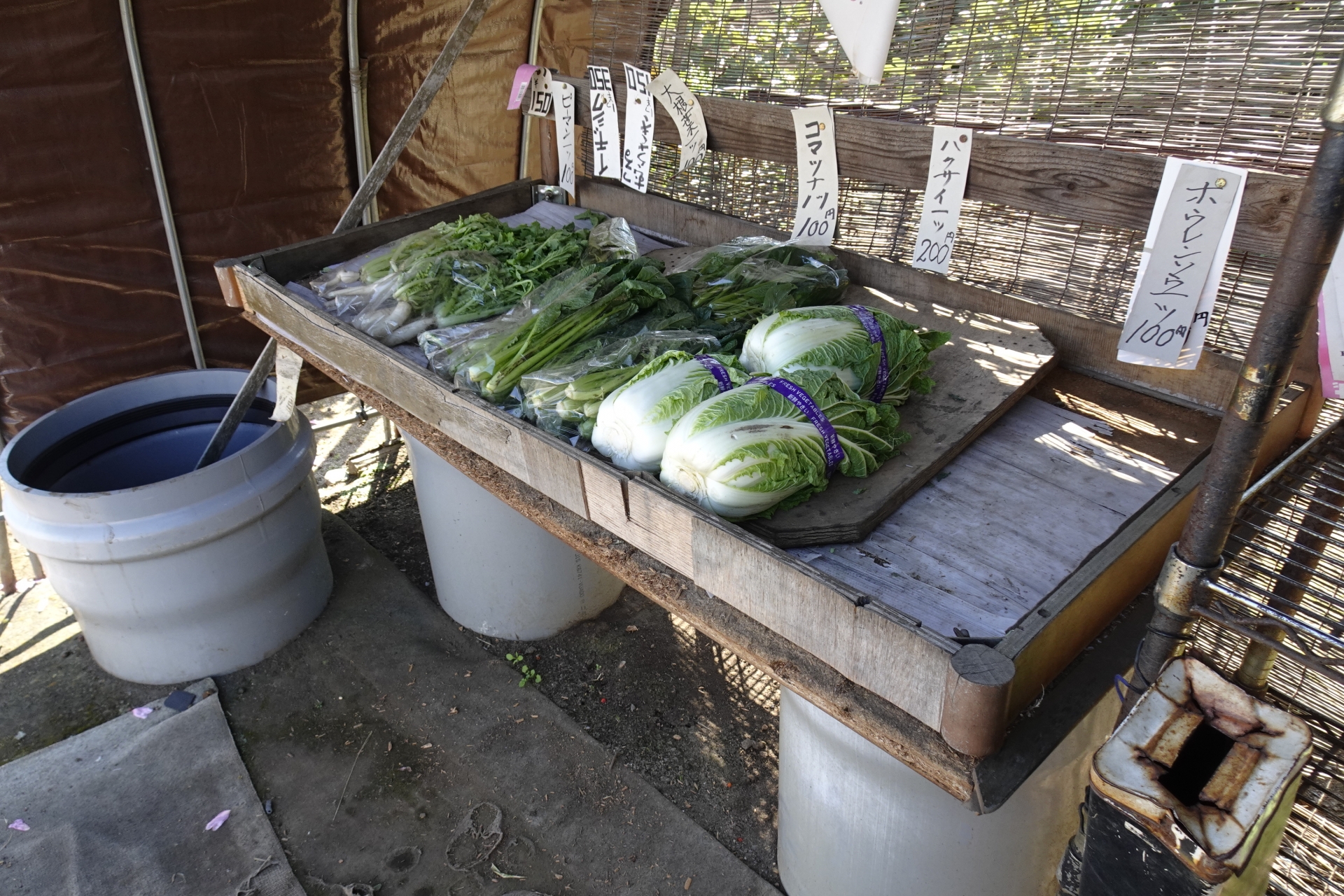 直売所に並ぶ野菜