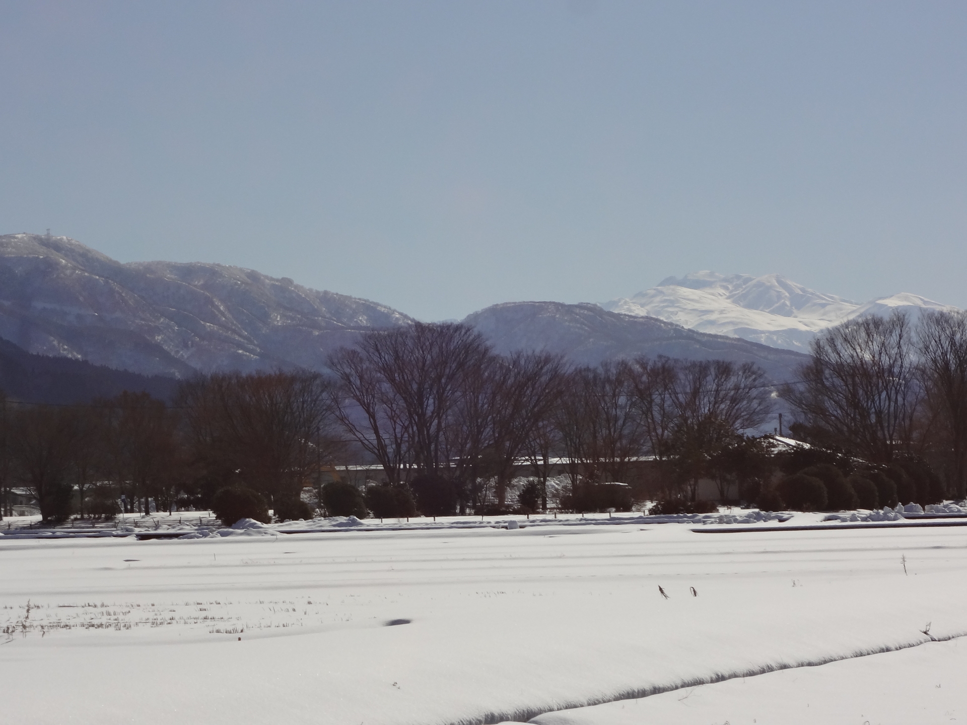 雪の白山遠景