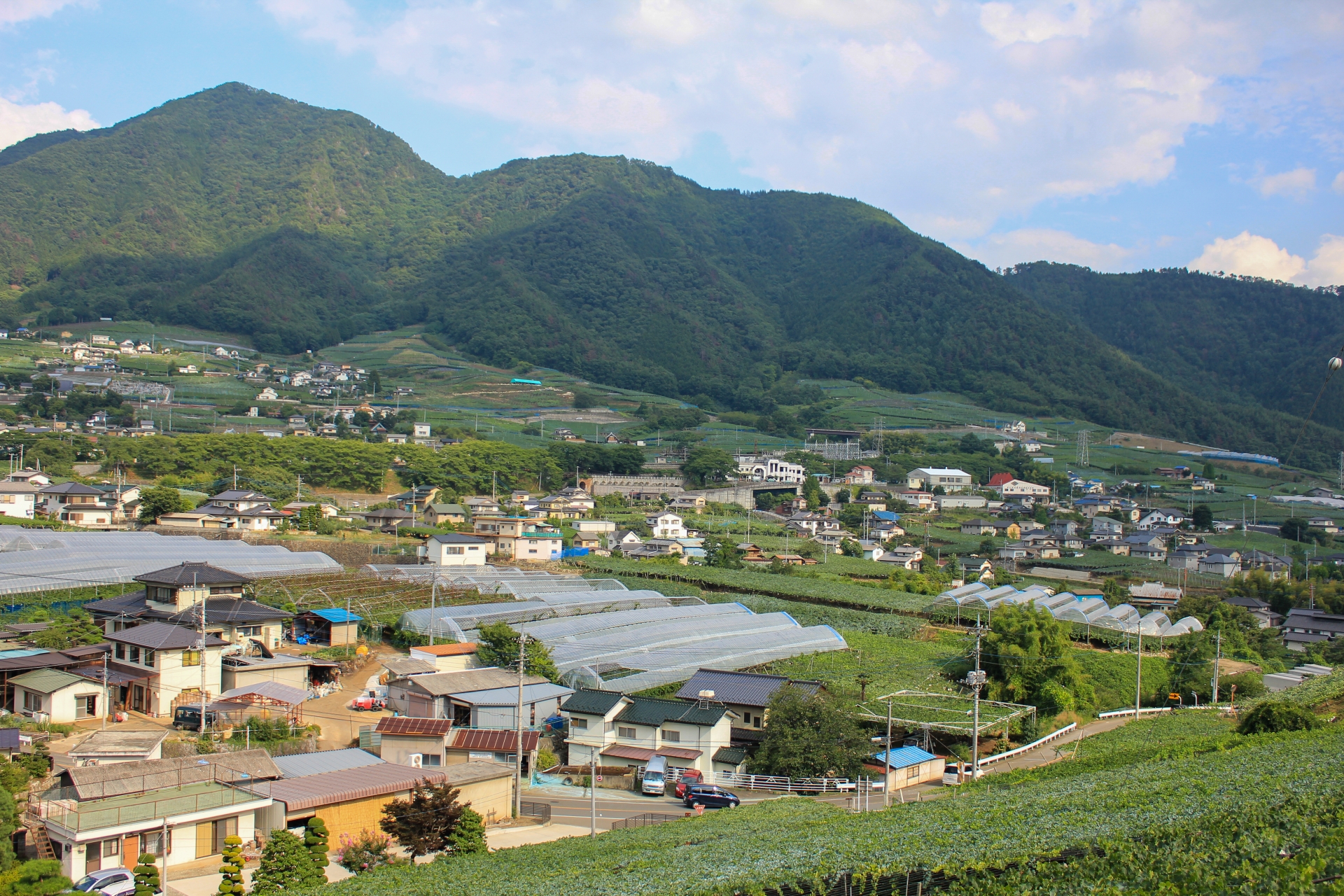 山梨県のハウスが並ぶ山村部風景