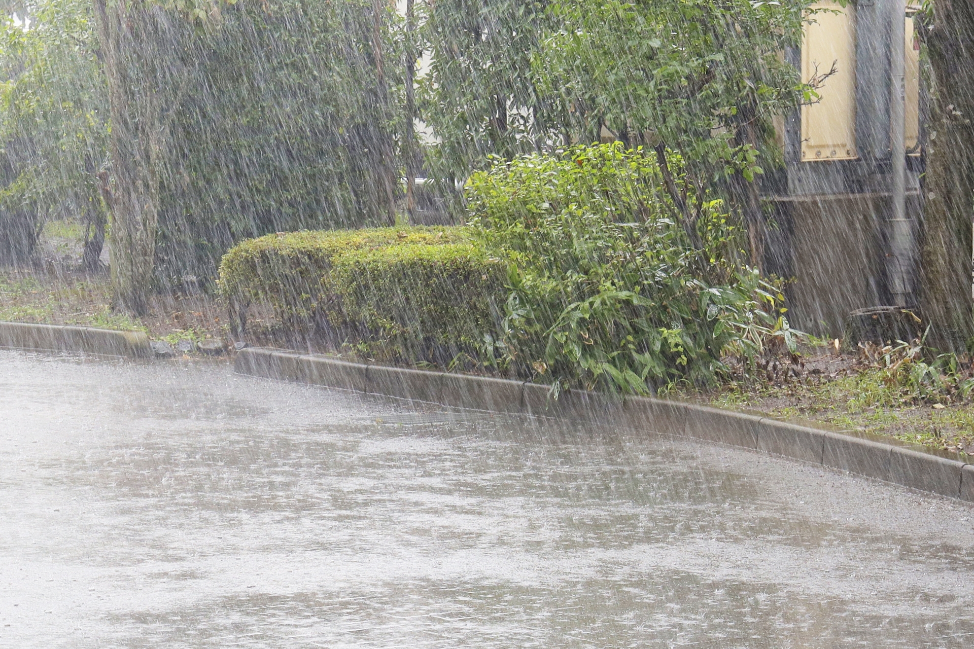 激しい豪雨が敷地内の植物や地面に打ち付ける激しい雨が降る