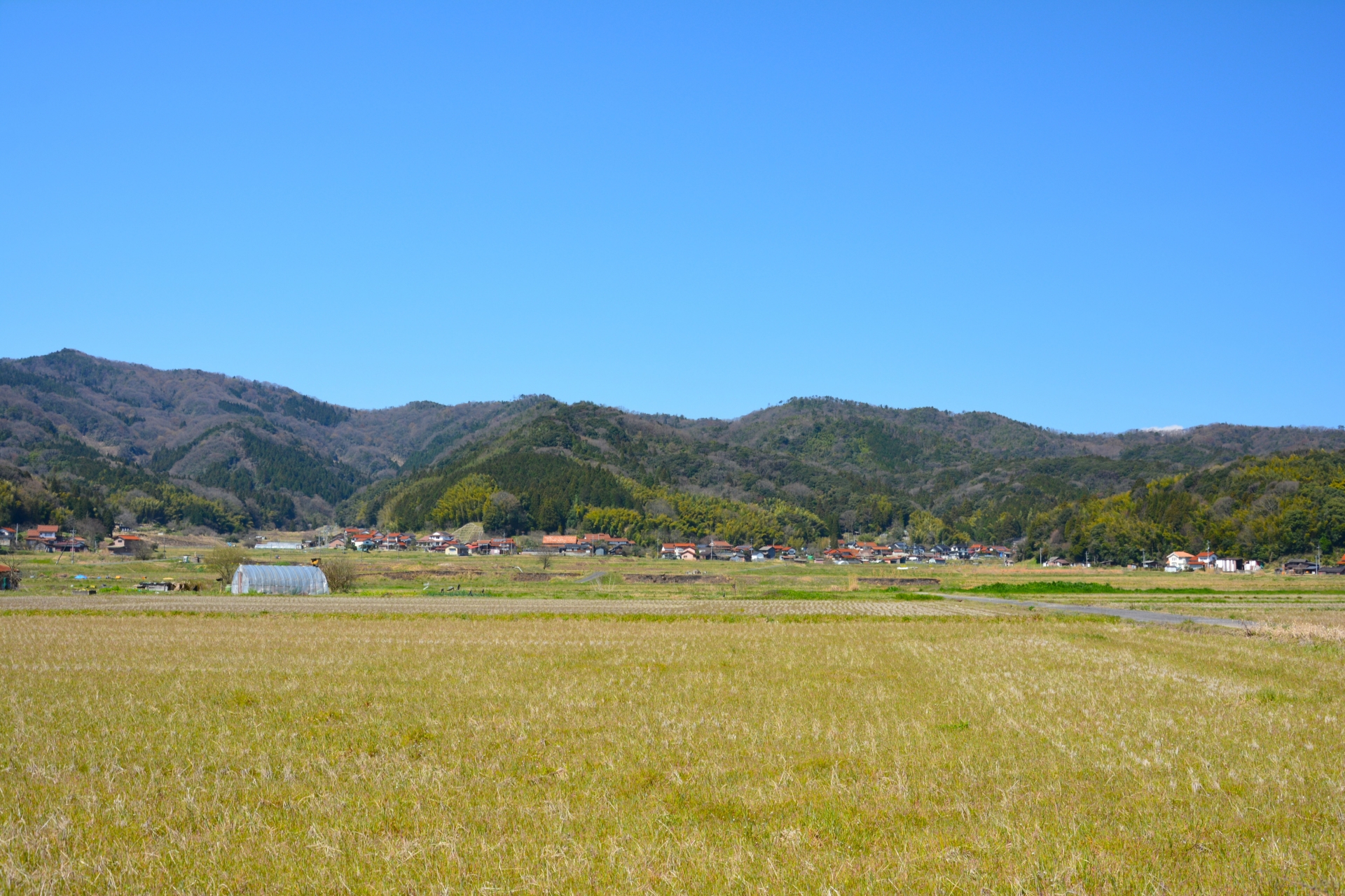 島根県の山と田んぼ