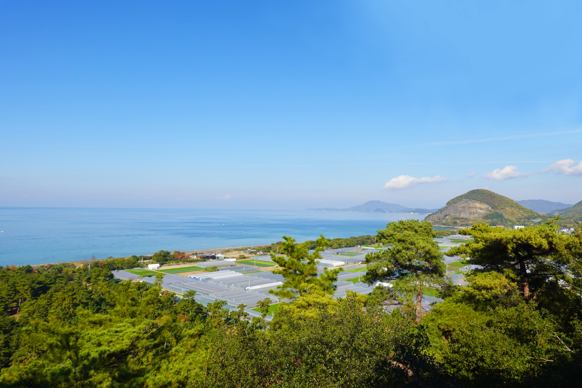 有明浜と瀬戸内海に面した農地、連棟ハウスが複数
